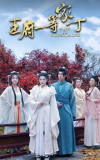 ����һ�ȼҶ�