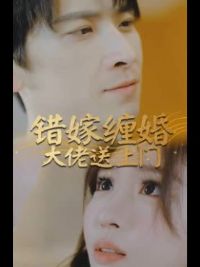 ��޲������������