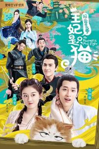 ������ү��������ֻè